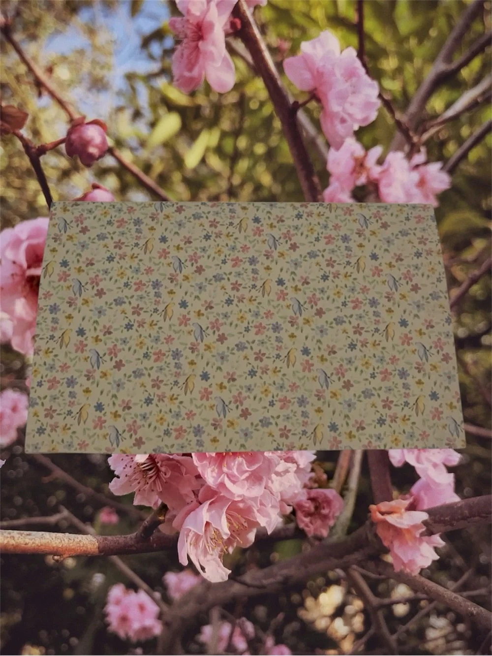 Handmade Floral Journal Pack • Faith & Friendship Gift Notebook Set 6 Packs